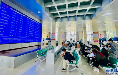 西藏推出综合政策举措，全力扶持高校毕业生就业创业