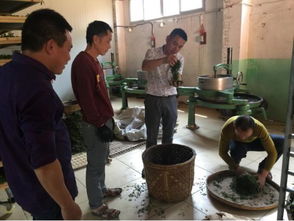 柘荣 以村企合作激发产业活力，以人才振兴巩固脱贫成果